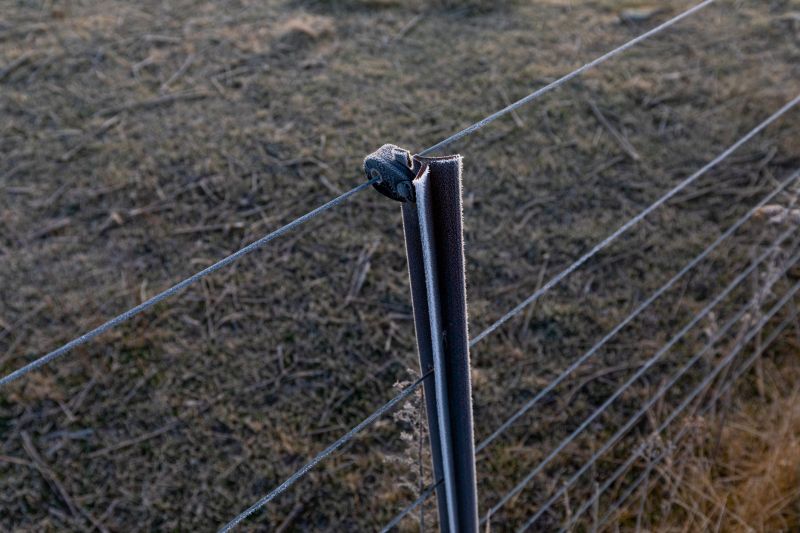 Pasture Fence Repair detail